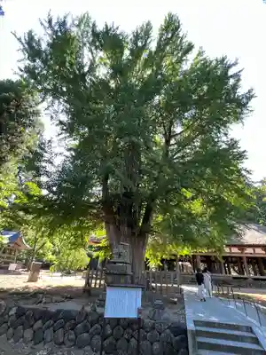 新宮熊野神社(福島県)