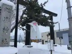 旭川神社の七五三参