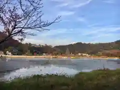 深泥池貴舩神社の自然