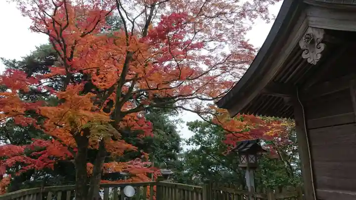 唐澤山神社のその他建物