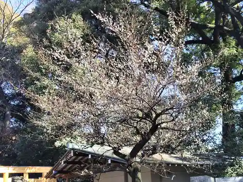 代々木八幡宮(東京都)