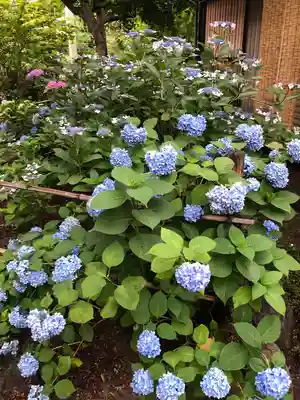 頼光寺(兵庫県)