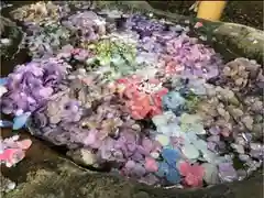 馬場氷川神社の手水