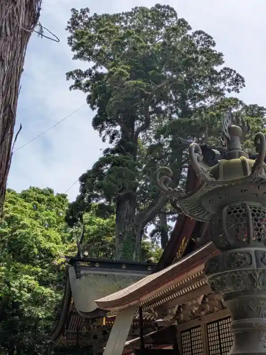 鹿島神宮(茨城県)