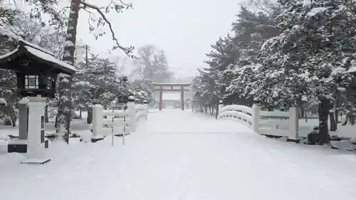 北海道護國神社の庭園