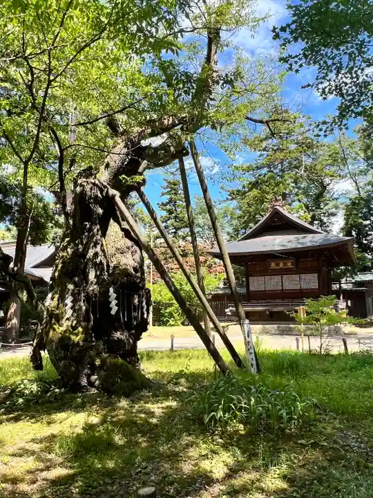 蠶養國神社(福島県)