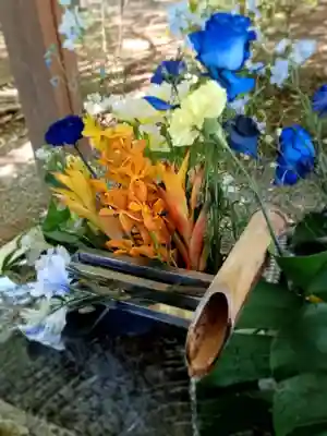 諏訪八幡神社の手水舎