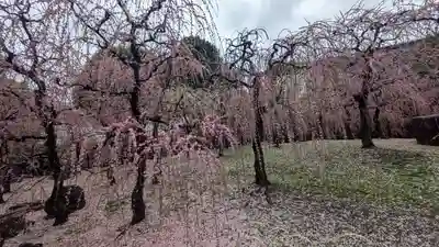 城南宮(京都府)
