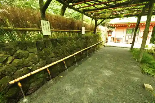 富士山本宮浅間大社(静岡県)