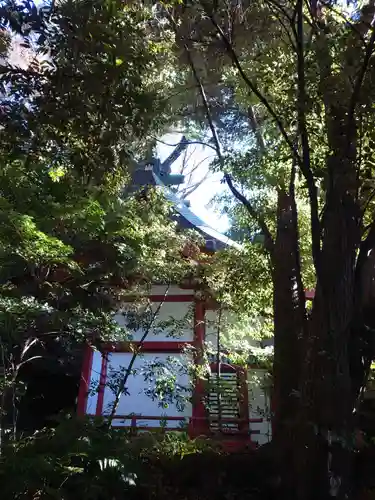 來宮神社の本殿・本堂