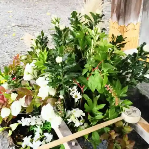 彌彦神社　(伊夜日子神社)(北海道)