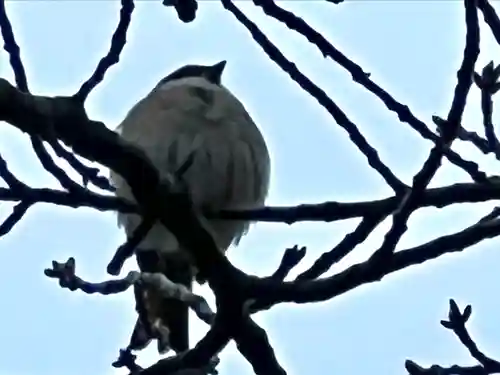 眞田神社(長野県)
