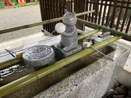 荻窪白山神社の手水舎