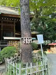 前鳥神社(神奈川県)