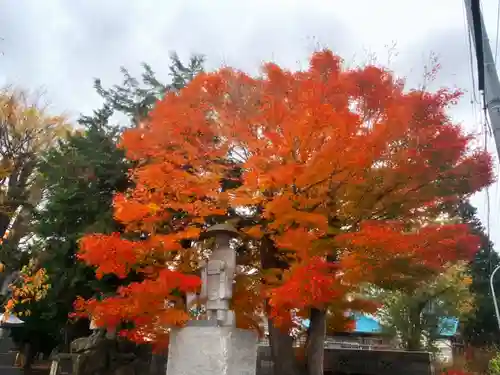 仁玄寺の自然