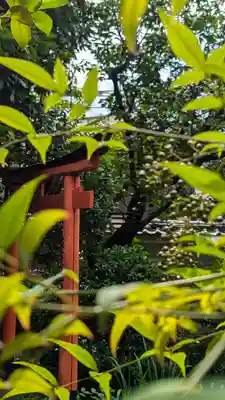 宝蔵寺(京都府)