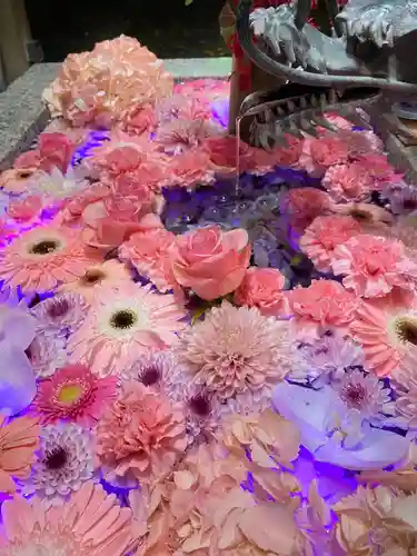 札幌諏訪神社の手水舎