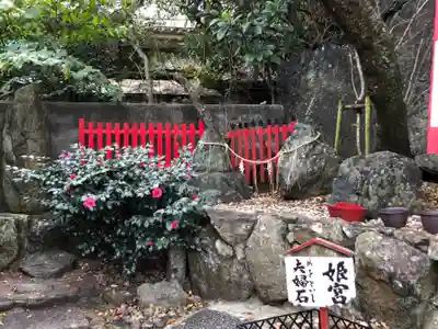 徳島眉山天神社のその他建物