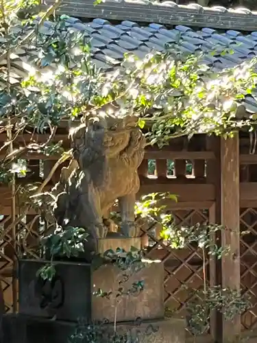 関蝉丸神社下社の狛犬