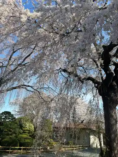 身照寺の{uncategorized: "未分類", other: "その他", undefined: "問題あり", building: "その他建物", grave: "お墓", sacred_gate: "鳥居", guardian: "狛犬", statue: "像", buddha: "仏像", history: "歴史", nature: "自然", garden: "庭園", animal: "動物", pagoda: "塔", temizu: "手水舎", mountain_gate: "山門・神門", sanctuary: "本殿・本堂", subordinate: "末社・摂社", art: "芸術", scenery: "景色", jizo: "地蔵", ema: "絵馬", goshuin: "御朱印", omikuji: "おみくじ", items: "授与品その他", amulet: "お守り", goshuincho: "御朱印帳", eats: "食事", festival: "お祭り", votive_dance: "神楽", shichigosan: "七五三参", wedding: "結婚式", experience: "体験その他", initially: "初詣", around: "周辺", anti_infection: "感染症対策"}