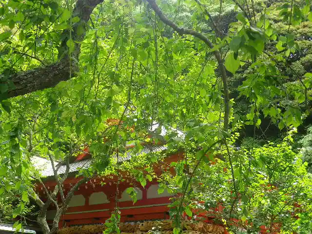 荏柄天神社の自然