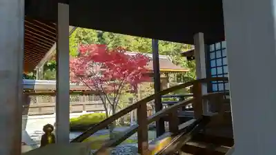 武田神社の本殿・本堂