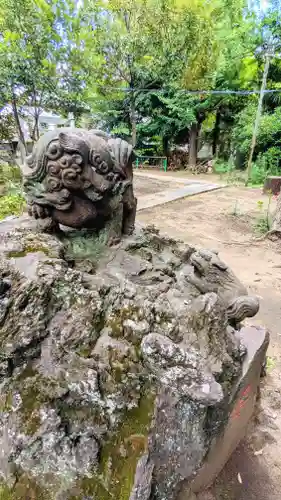 今井神社の狛犬