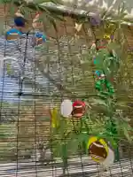 京都乃木神社(京都府)