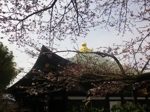 長勝寺の自然