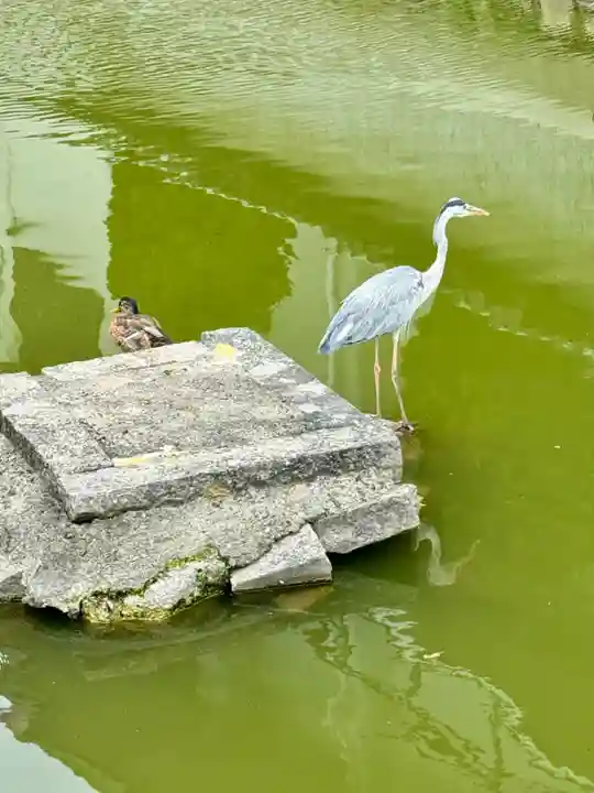 東寺(教王護国寺)(京都府)