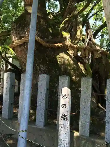 櫛田宮(佐賀県)