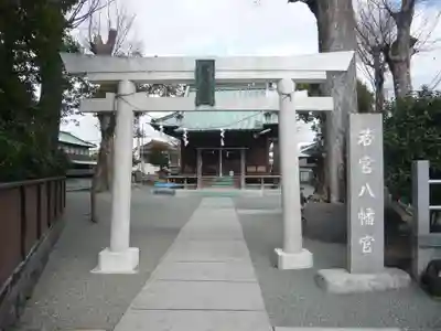 若宮八幡宮(神奈川県)