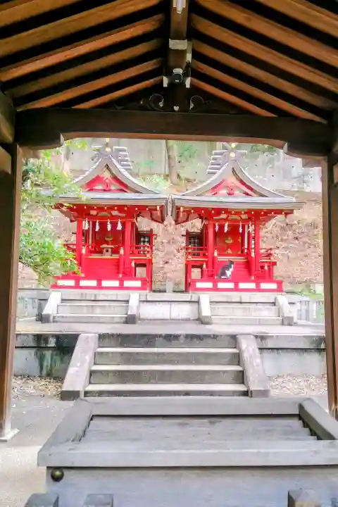白金氷川神社の{uncategorized: "未分類", other: "その他", undefined: "問題あり", building: "その他建物", grave: "お墓", sacred_gate: "鳥居", guardian: "狛犬", statue: "像", buddha: "仏像", history: "歴史", nature: "自然", garden: "庭園", animal: "動物", pagoda: "塔", temizu: "手水舎", mountain_gate: "山門・神門", sanctuary: "本殿・本堂", subordinate: "末社・摂社", art: "芸術", scenery: "景色", jizo: "地蔵", ema: "絵馬", goshuin: "御朱印", omikuji: "おみくじ", items: "授与品その他", amulet: "お守り", goshuincho: "御朱印帳", eats: "食事", festival: "お祭り", votive_dance: "神楽", shichigosan: "七五三参", wedding: "結婚式", experience: "体験その他", initially: "初詣", around: "周辺", anti_infection: "感染症対策"}