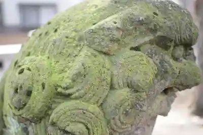 青渭神社の狛犬