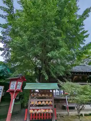 松ヶ崎大黒天 妙圓寺（妙円寺）(京都府)