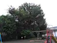 石仏(経堂石仏公園内)(東京都)