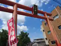 水海道鎮守 八幡神社(茨城県)