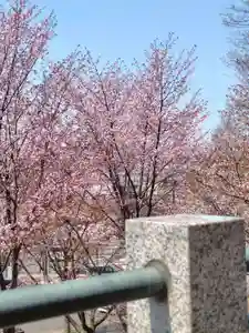 厚別神社(北海道)(2025年05月01日(木) 11時19分28秒投稿)