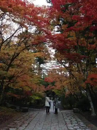 高野山金剛峯寺の自然