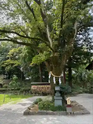 武田神社(山梨県)