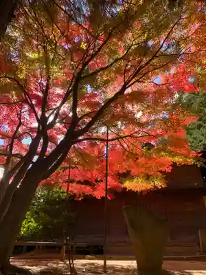 滑川神社 - 仕事と子どもの守り神(福島県)