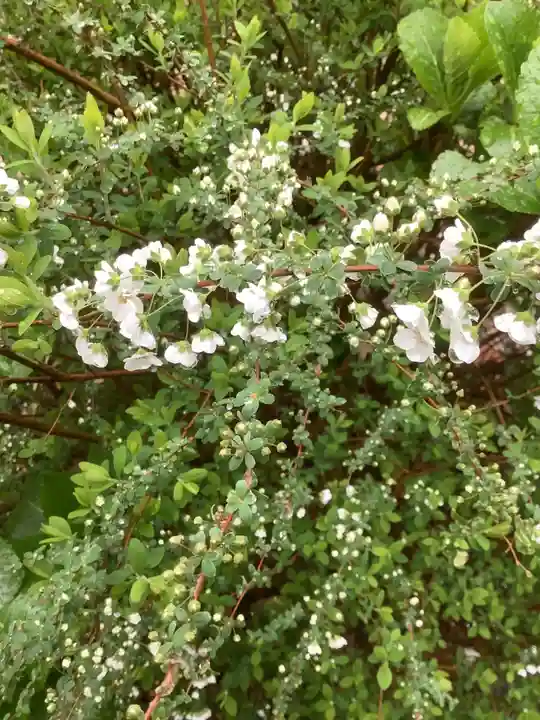 三輪神社の自然