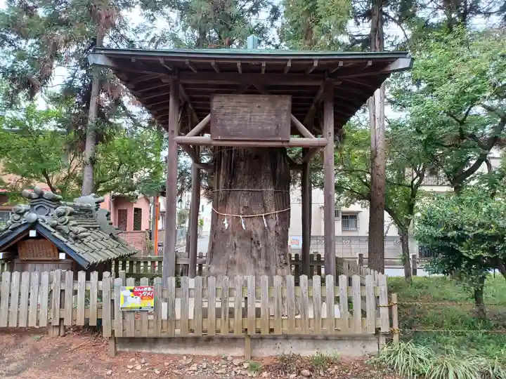 大和田氷川神社(埼玉県)