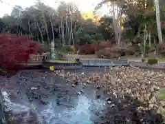 秋葉總本殿可睡斎の庭園