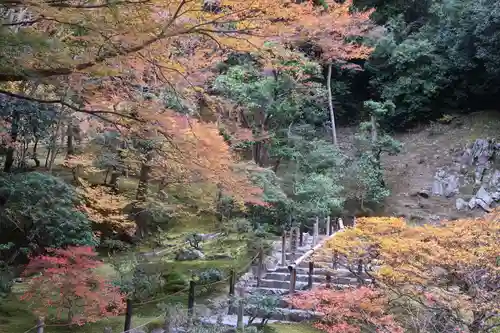 慈照寺（慈照禅寺・銀閣寺）の自然