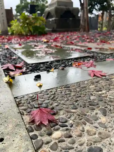 總社 和田八幡宮(福井県)