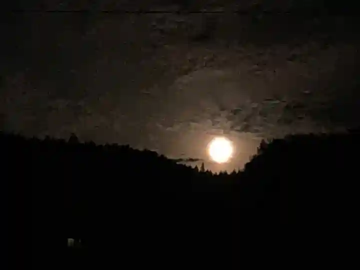 大宮温泉神社(栃木県)