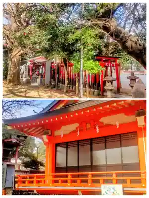 花園神社(東京都)