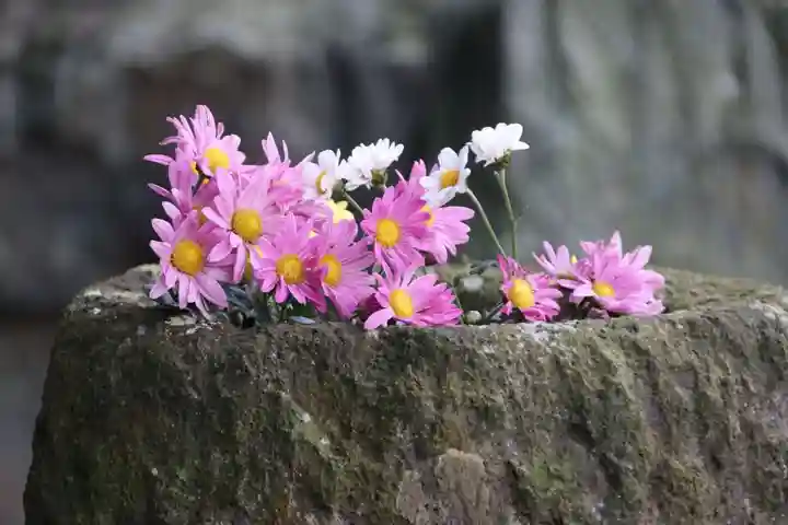 阿久津「田村神社」(郡山市阿久津町)旧社名:伊豆箱根三嶋三社の手水舎