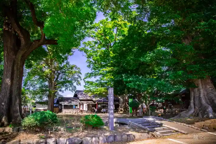 白鳥神社(長野県)